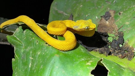 Viaje Mujeres Coste Rica 2