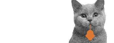 Otro punto para la IA: esta puerta para gatos evita que tu mascota te ‘regale’ animales muertos