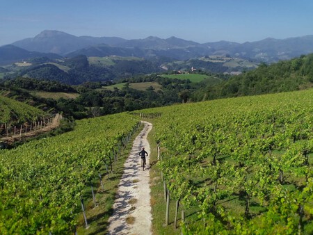 Cicloturismo En Getaria