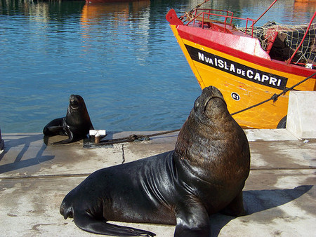 Puerto Mar del Plata