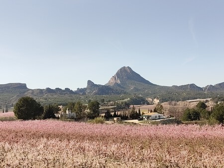 Img 20260222 112839243