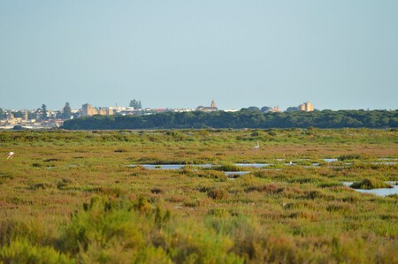 Doñana