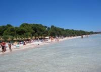 Cinco destinos de playa para ir con niños (IV): Mallorca
