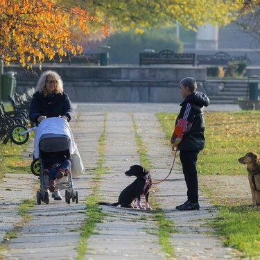En Barcelona hay tantos perros como niños: en los parques, no hay espacio para todos