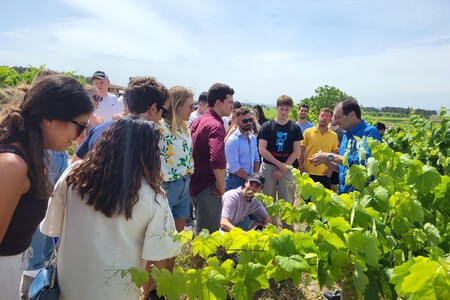 La Primavera Del Cava 2