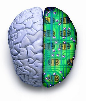 ¿Cuánto espacio nos queda en el cerebro para almacenar cultura? 4 megabytes
