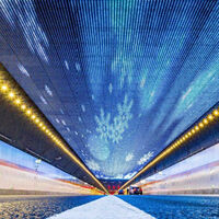 China ha conseguido algo que en Europa llevamos años intentando: convertir un túnel subacuático en un atractivo turístico. La culpa es de un cielo de LEDs