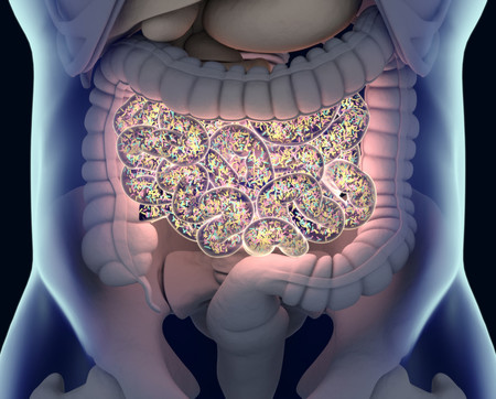 Así es como el ejercicio te ayuda a mejorar tu salud intestinal y tu diversidad microbiana