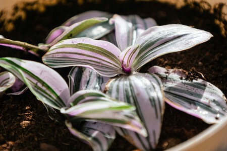 Christine Androsova 3vvbizg7tha Unsplash 1