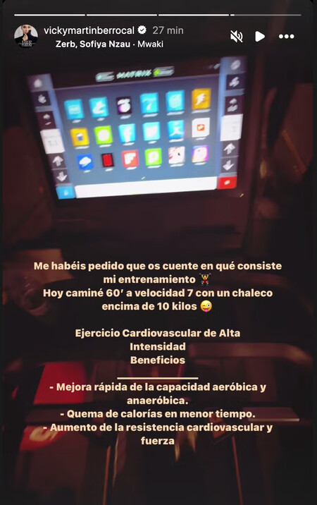 Ejercicio Fisico Vicky Martin Berrocal