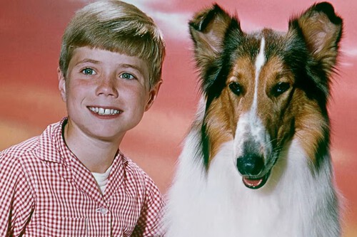 Lassie