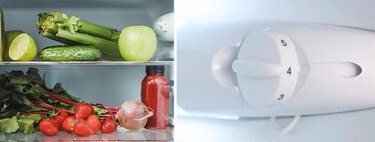 Pocos conocen lo que significan los números de la rueda de la nevera. Y no, no es la temperatura