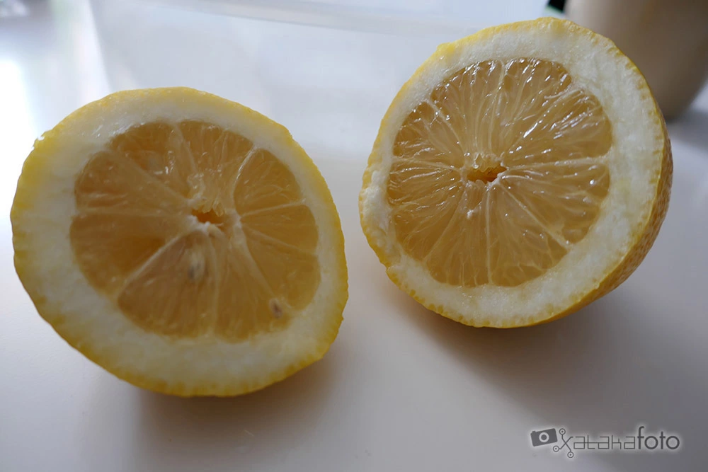 Foto de Galería de la Panasonic Lumix TZ100 (13 fotos) (8/15)