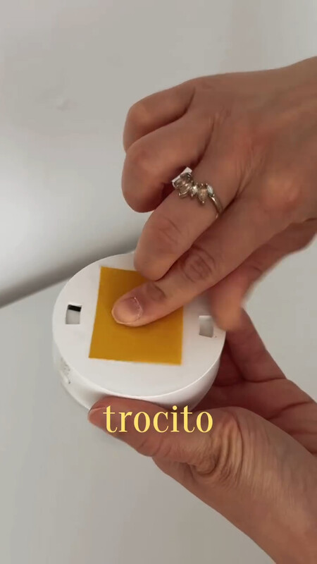 cesto