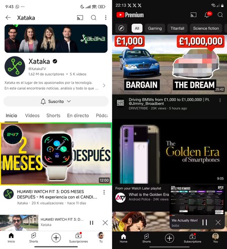 Youtube Minireproductor