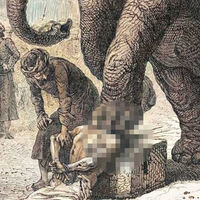 Ejecución por elefante. La terrorífica forma en la que en la India se torturaba a los prisioneros 
