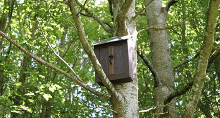 No es una caseta para pájaros, es la última antena de telefonía móvil de Vodafone
