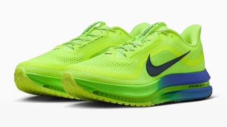 Zapatillas Nike Pegasus Premium