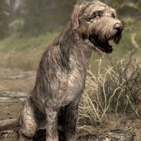 Skyrim hace realidad el sueño de muchos jugadores con un glitch que multiplica los NPC más queridos del RPG de Bethesda: los perros 