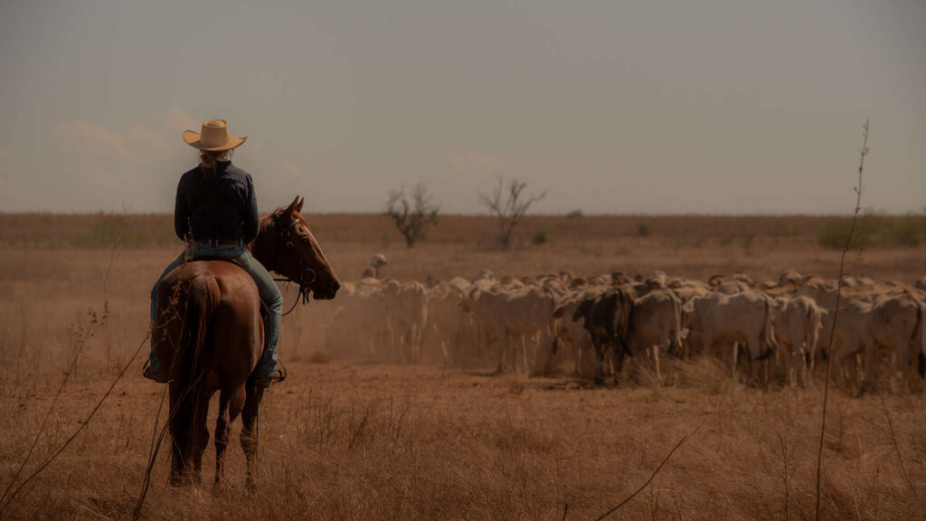 Los fans de ‘Yellowstone’ no se pueden perder esta serie de Netflix. Una épica saga familiar con Anna Torv y tintes de western