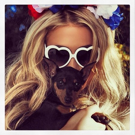 Paris Hilton presume de perritos, ¡y ellos de casa!