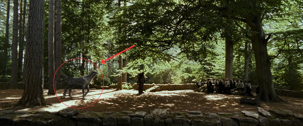 Si pausas Harry Potter y el Prisionero de Azkaban en el minuto 34:12, verás que Buckbeak también tiene sus propias necesidades 