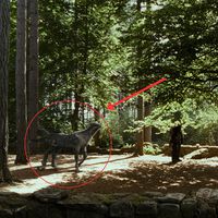 Si pausas Harry Potter y el Prisionero de Azkaban en el minuto 34:12, verás que Buckbeak también tiene sus propias necesidades 