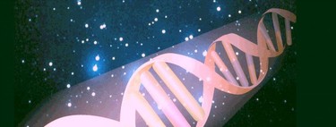 La genética: genes y cromosomas