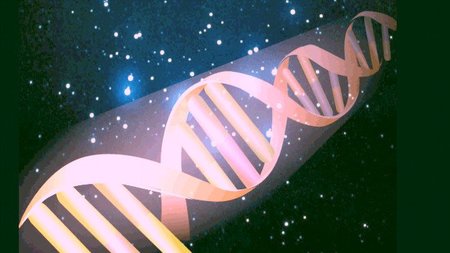 La genética: genes y cromosomas