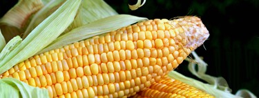 El cambio climático está afectando nuestra producción de alimentos y el problema solo empeora