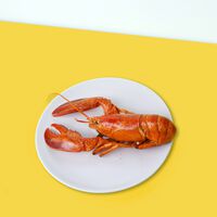 Durante décadas nos hemos contado que el marisco no siente dolor al ser hervido. Nos equivocábamos gravemente