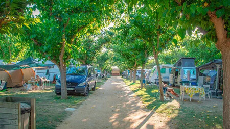 Camping La Gaviota