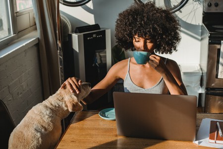 perro-trabajo-oficina