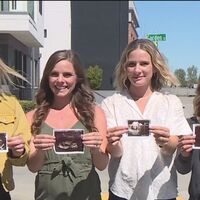 Estas cuatro hermanas están embarazadas a la vez y darán a luz con pocos meses de diferencia 