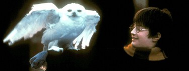 Hace 25 años, la primera película de Harry Potter cambió por completo el universo de Hogwarts y es muy probable que ese encanto no esté en la nueva adaptación 
