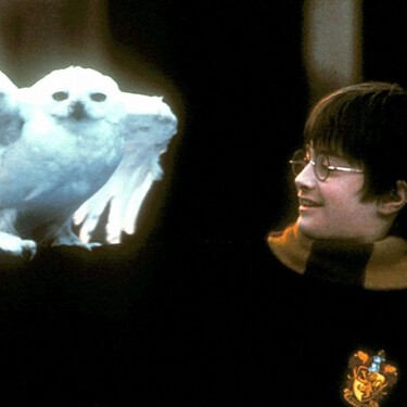 Hace 25 años, la primera película de Harry Potter cambió por completo el universo de Hogwarts y es muy probable que ese encanto no esté en la nueva adaptación 