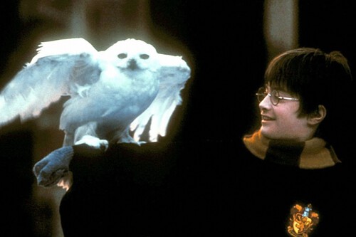 Hace 25 años, la primera película de Harry Potter cambió por completo el universo de Hogwarts y es muy probable que ese encanto no esté en la nueva adaptación 