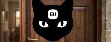 Xiaomi la llama el 'Ojo del Gato', y no me extraña por su capacidad de visión en 160° y como espía a quien se pone delante 