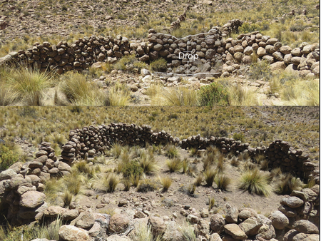 (Reprodução/Adrián Oyaneder)