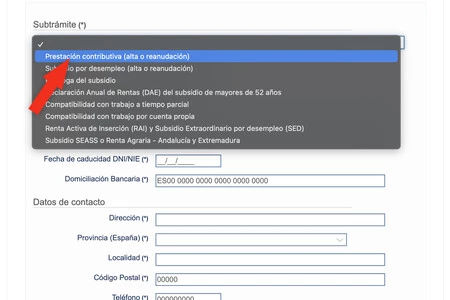 プロセスエイド 600ユーロ アーティスト