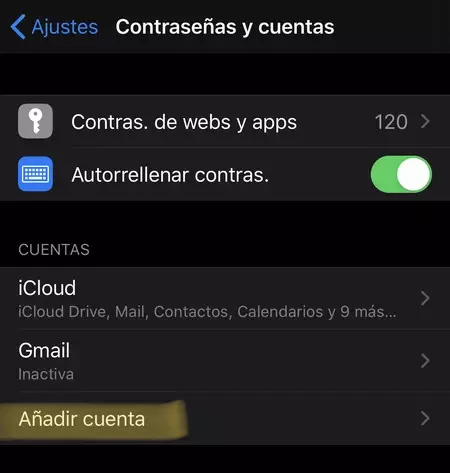 Configurar Google Iphone 2