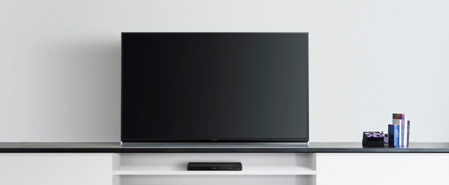 Panasonic