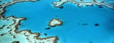 Arrecifes de coral a prueba de cambios climáticos: de nacer en la era de los dinosaurios a resistir el actual calentamiento global 