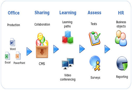 diagrama de LMS