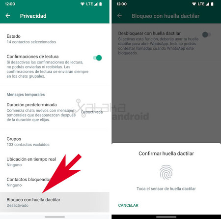Huella Dactilar Whatsapp