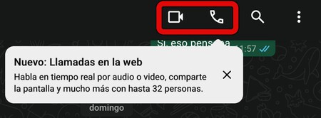 Iconos