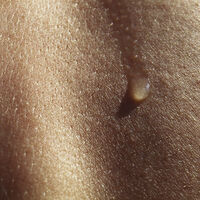 IA que prevê doenças: seu suor pode revelar problemas de saúde muito antes dos sintomas 