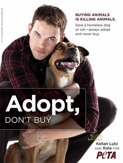 Kellan Lutz te propone adoptar un perro