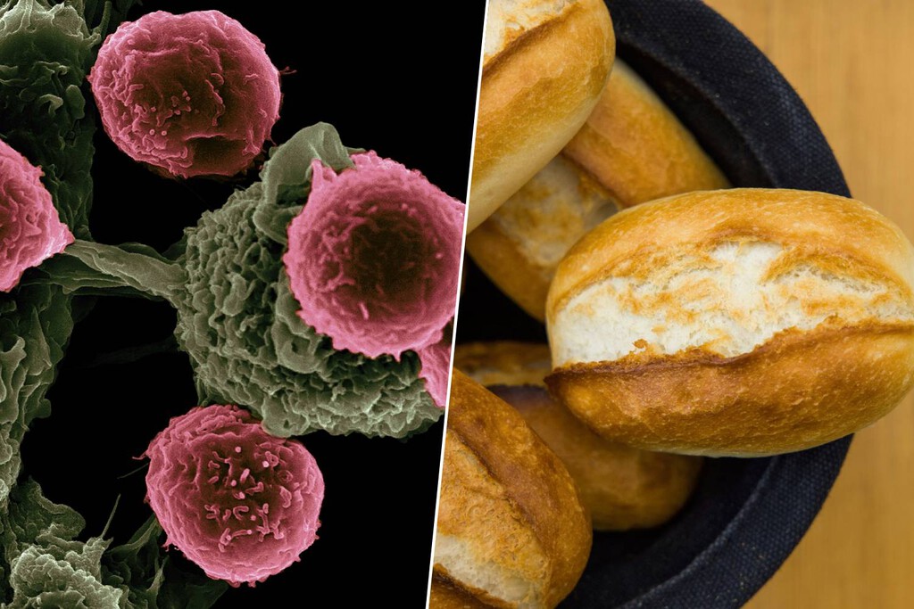 Las dietas bajas en carbohidratos se han puesto de moda: un estudio las acaba de correlacionar con mayor riesgo de cáncer