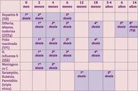 Calendario único de vacunación en España: vacunas básicas y edades de aplicación 